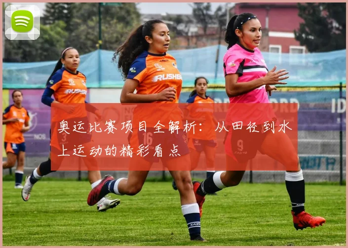 奥运比赛项目全解析：从田径到水上运动的精彩看点