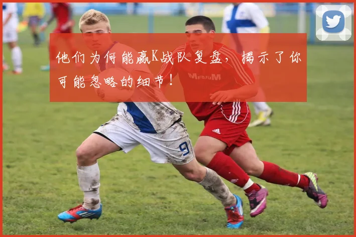 他们为何能赢K战队复盘,揭示了你可能忽略的细节!