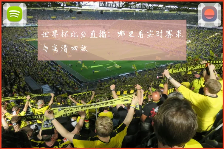 世界杯比分直播：哪里看实时赛果与高清回放