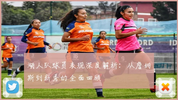 湖人队球员表现深度解析：从詹姆斯到新秀的全面回顾