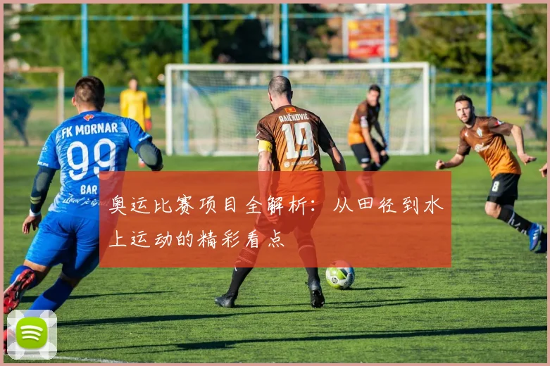 奥运比赛项目全解析：从田径到水上运动的精彩看点
